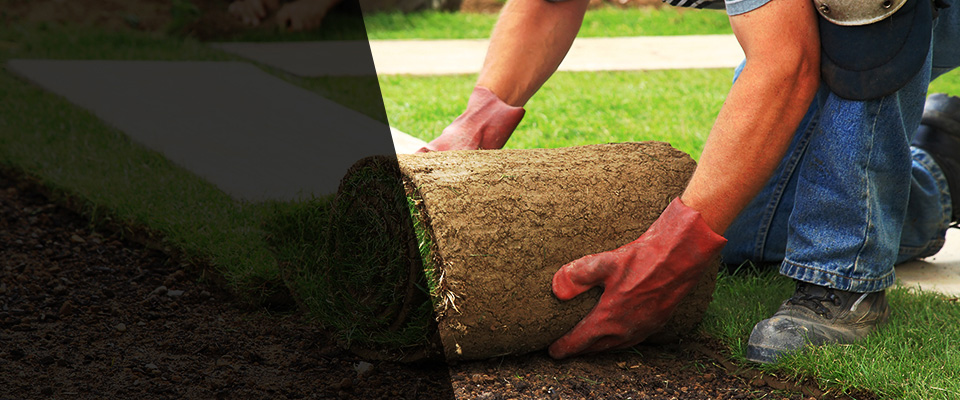 Groveland Landscapers